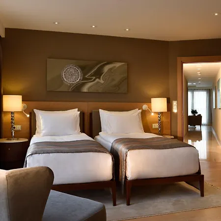 Cvk Park Bosphorus Hotel Stambuł