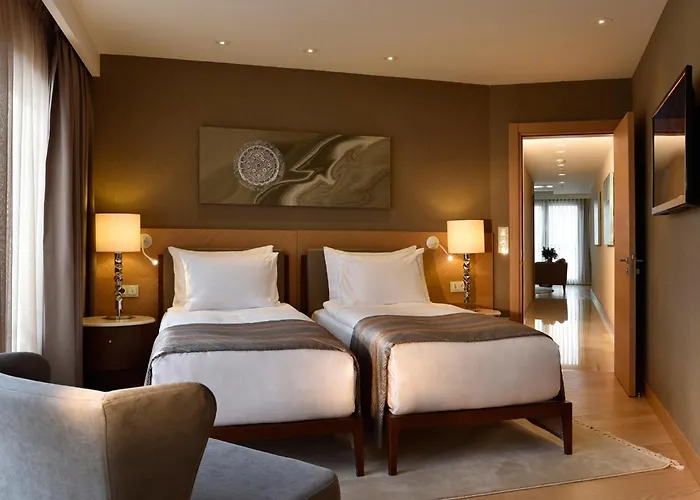 Cvk Park Bosphorus מלון 5*